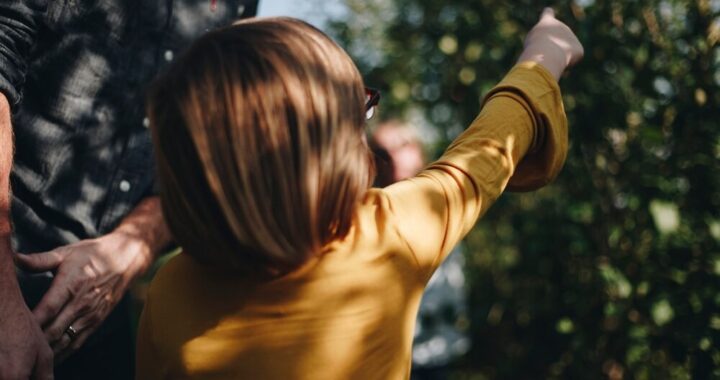 bezpieczne-warsztaty-dla-rodzic--w--wspieraj-rozw--auto-5275